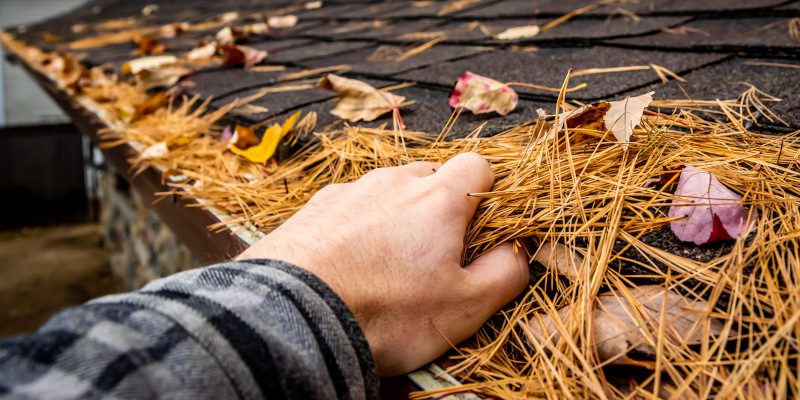 How Our Gutter Cleaning Services Protect Your Home