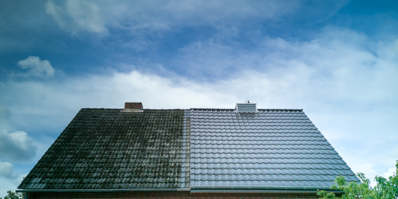 Reasons to Take Advantage of Our Roof Cleaning Services This Fall