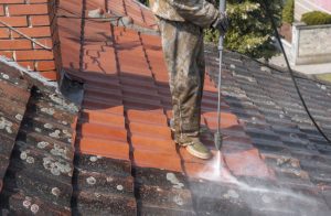 Roof Washing Benefits